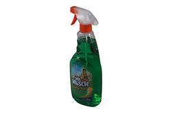 01 Mr Muscle glass cleaner