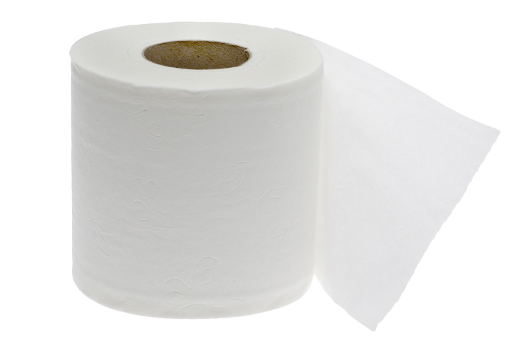 Toilet roll 2 ply white 320 sheet