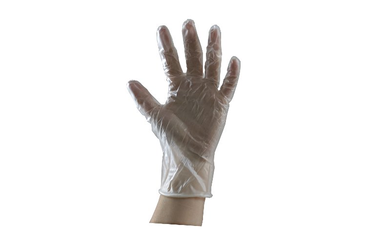 01 Powdered clear vinyl gloves medium
